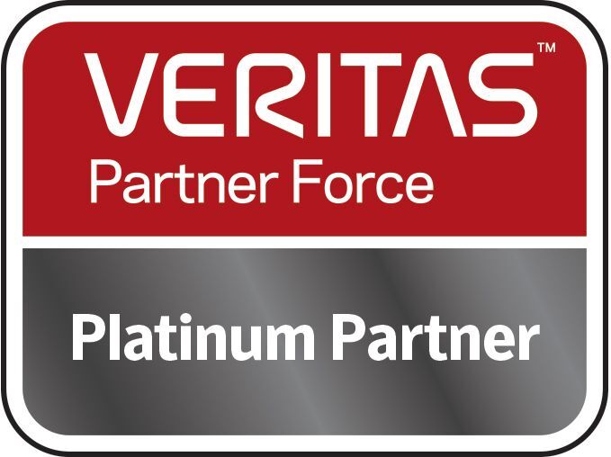 Veritas Partner Platinum Logo.jpg