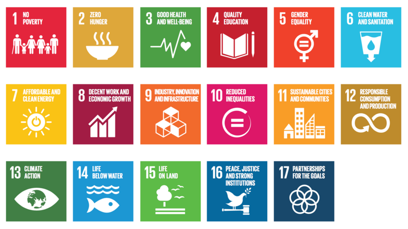 sdgs-sustainable-development-goals.png